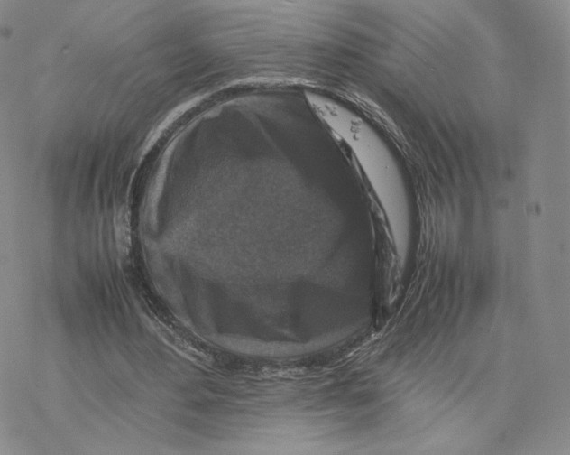 X0000077290484200611171631