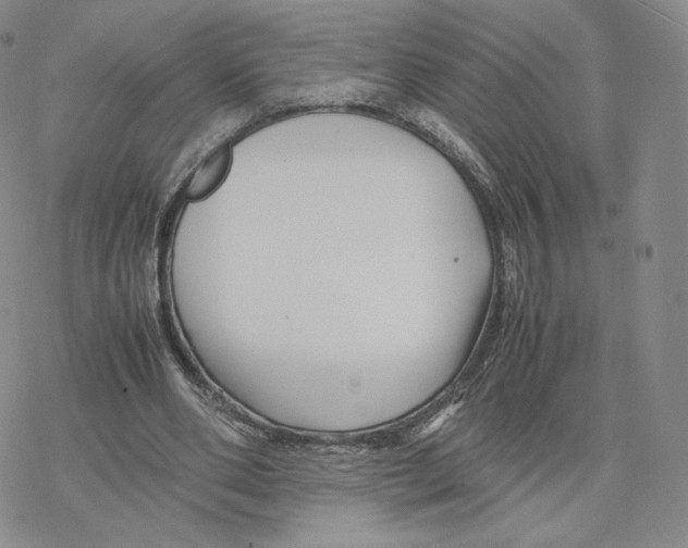 X0000077290486200611171631