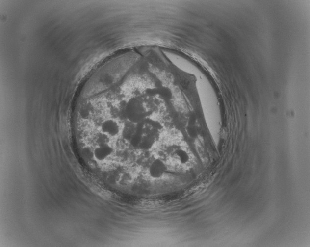 X0000077290487200611171631