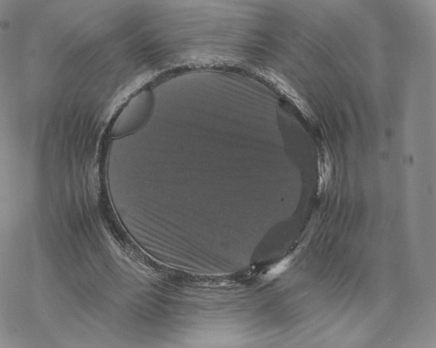 X0000077290488200611171631