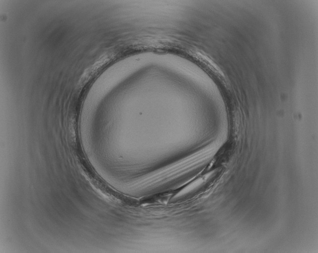 X0000077290489200611171631