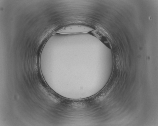 X0000077290490200611171631