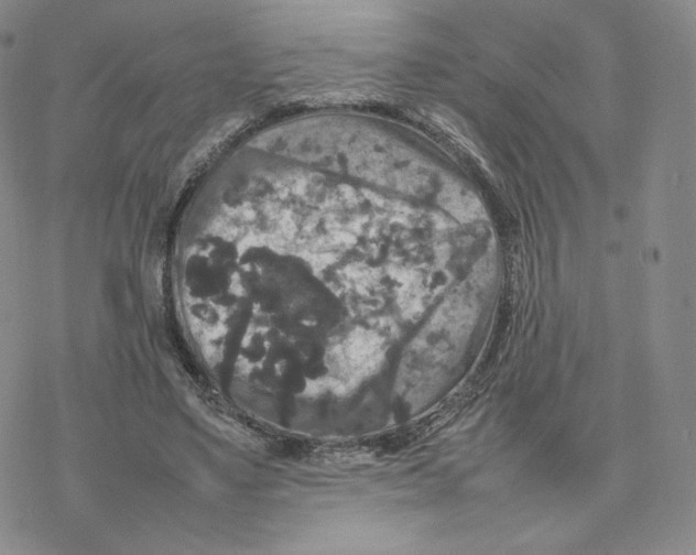 X0000077290491200611171631