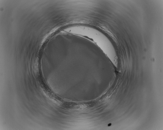 X0000077290492200611171631