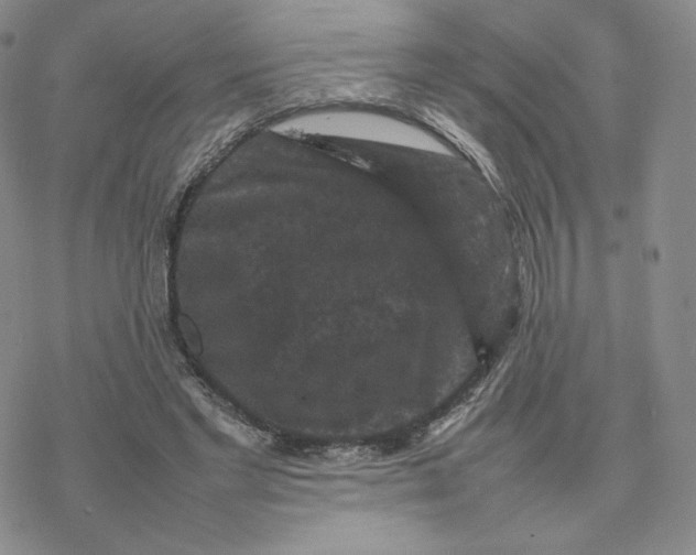 X0000077290493200611171631