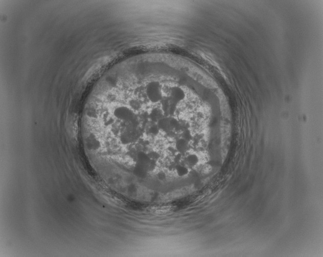 X0000077290495200611171631