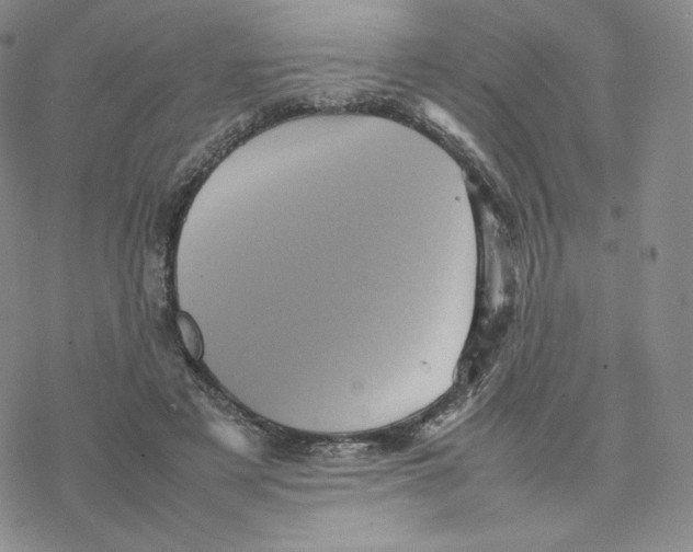 X0000077290497200611171631