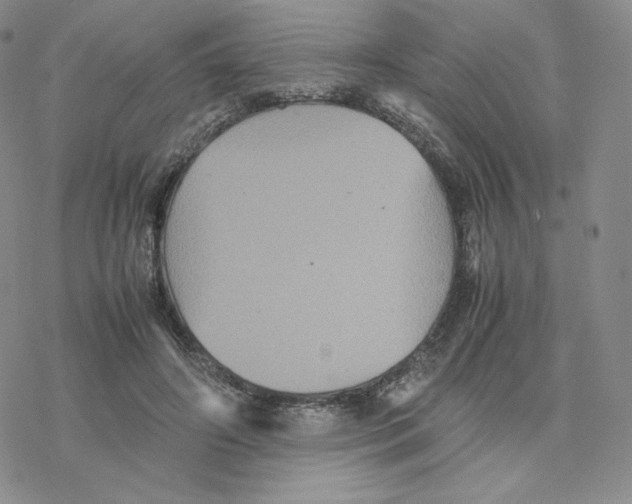 X0000077290498200611171631