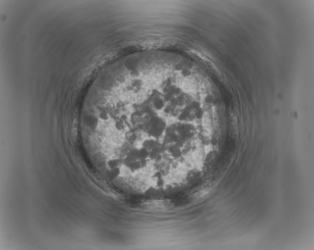 X0000077290499200611171631