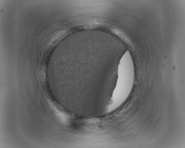 X0000077290501200611171631