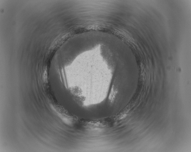 X0000077290502200611171631