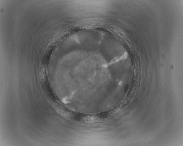 X0000077290503200611171631