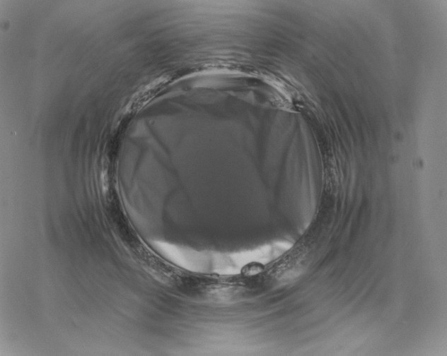 X0000077290504200611171631