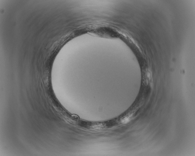 X0000077290505200611171631