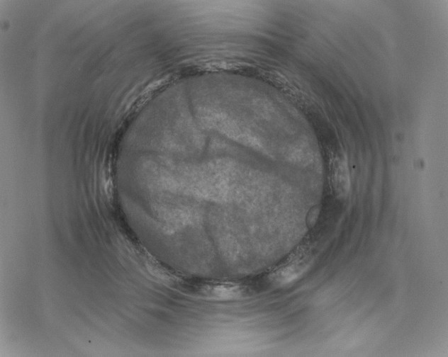 X0000077290506200611171631