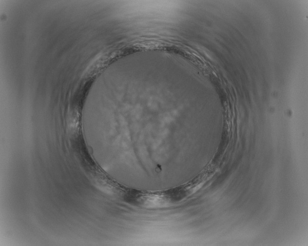 X0000077290507200611171630