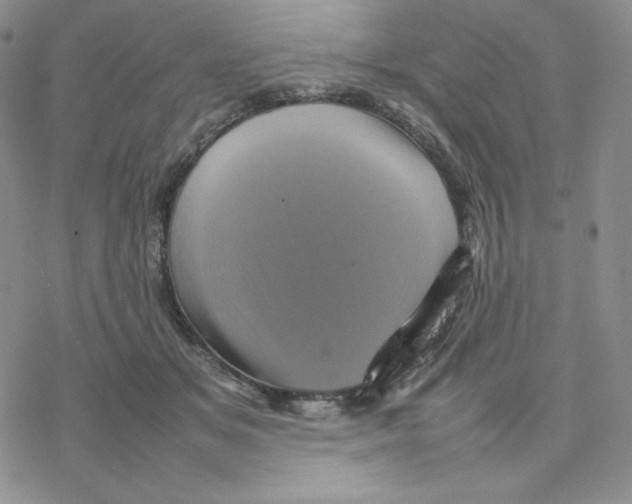 X0000077290509200611171630