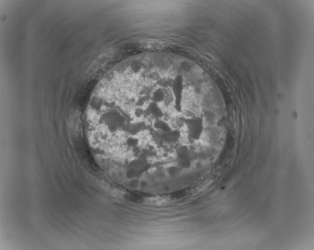 X0000077290511200611171630