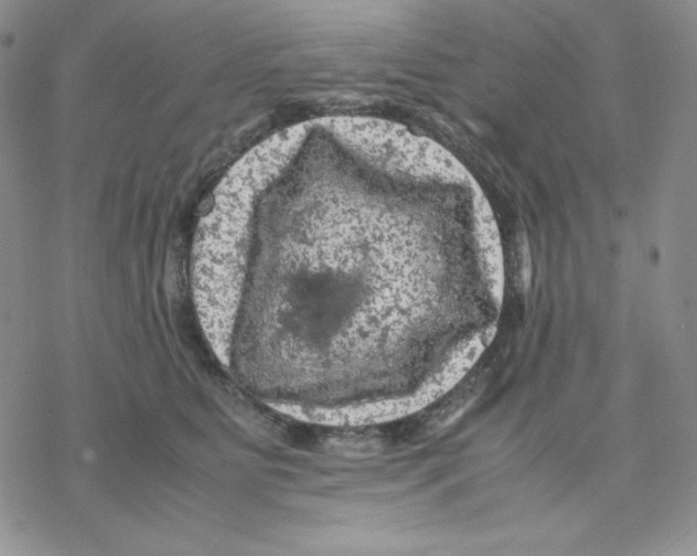 X0000077290515200611171630