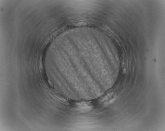 X0000077290516200611171630