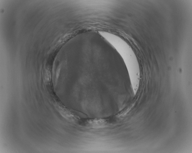 X0000077290517200611171630