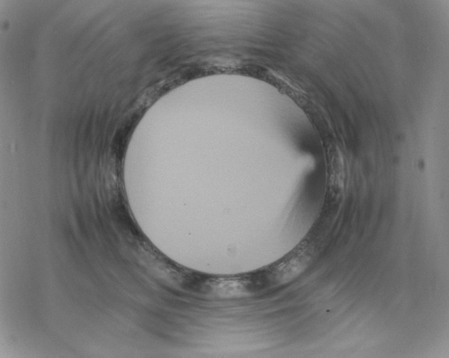 X0000077290518200611171630