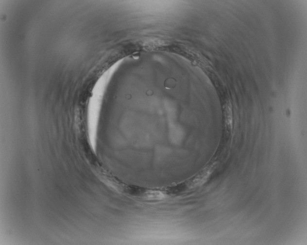 X0000077290519200611171630