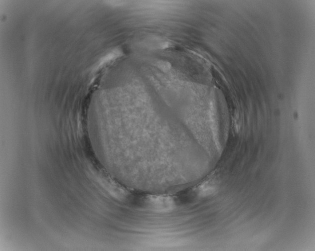 X0000077290520200611171630