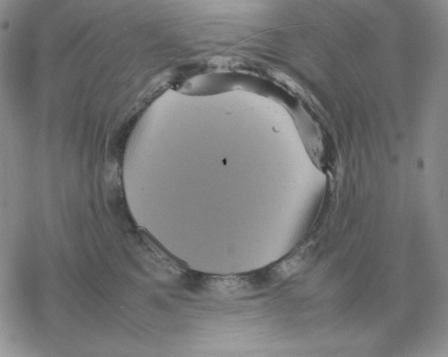 X0000077290521200611171630