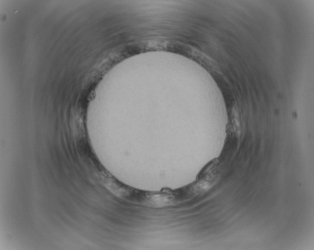 X0000077290522200611171630