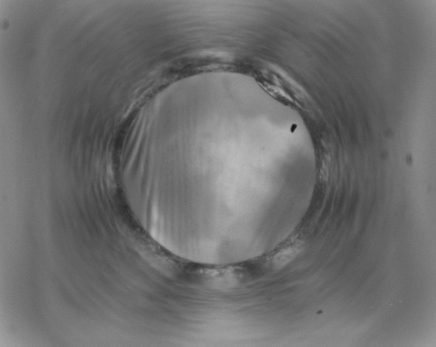 X0000077290524200611171630