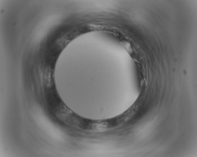 X0000077290525200611171630