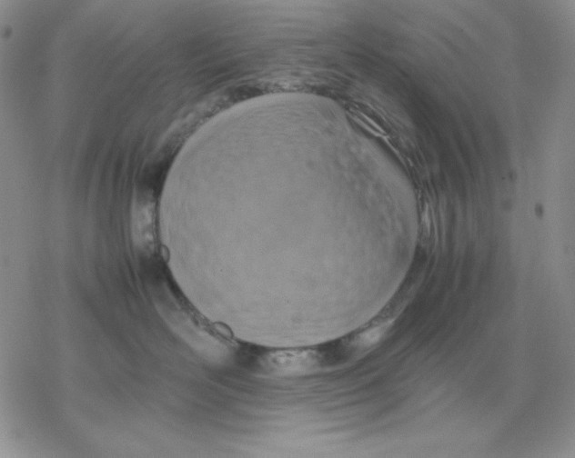 X0000077290526200611171630