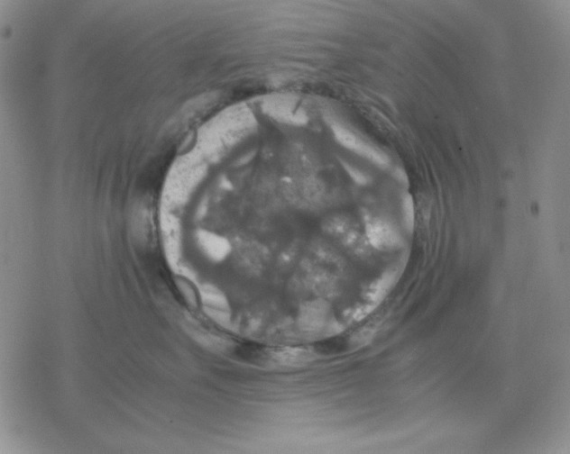 X0000077290527200611171630