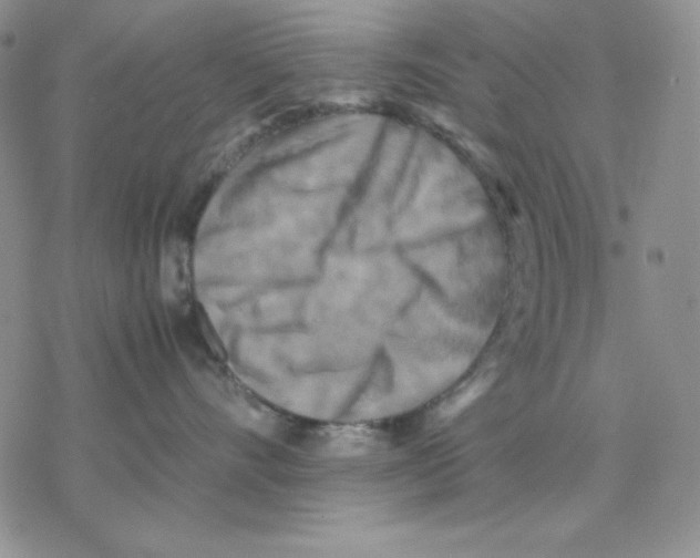 X0000077290528200611171630