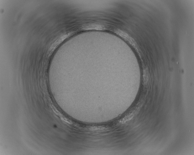 X0000077290529200611171629