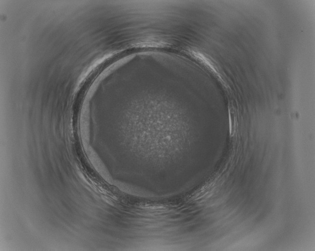 X0000077290531200611171629