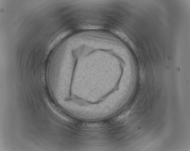 X0000077290533200611171629