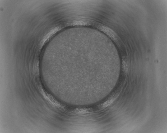 X0000077290534200611171629