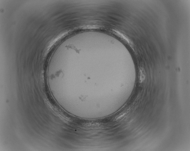 X0000077290535200611171629