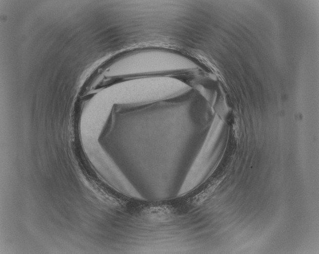 X0000077290536200611171629