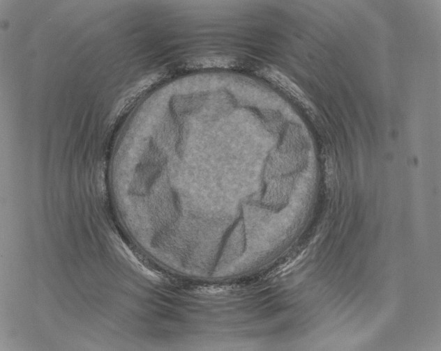 X0000077290537200611171630