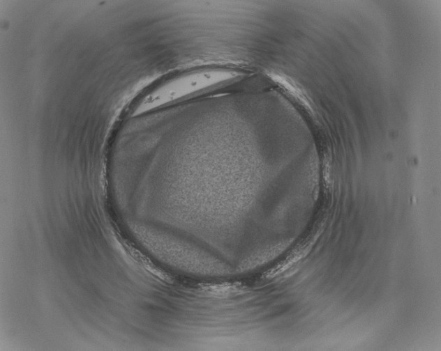 X0000077290540200611171630