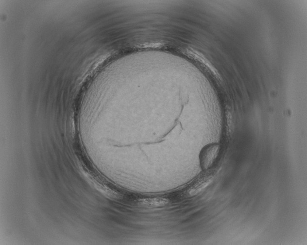 X0000077290541200611171630