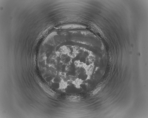 X0000077290542200611171630