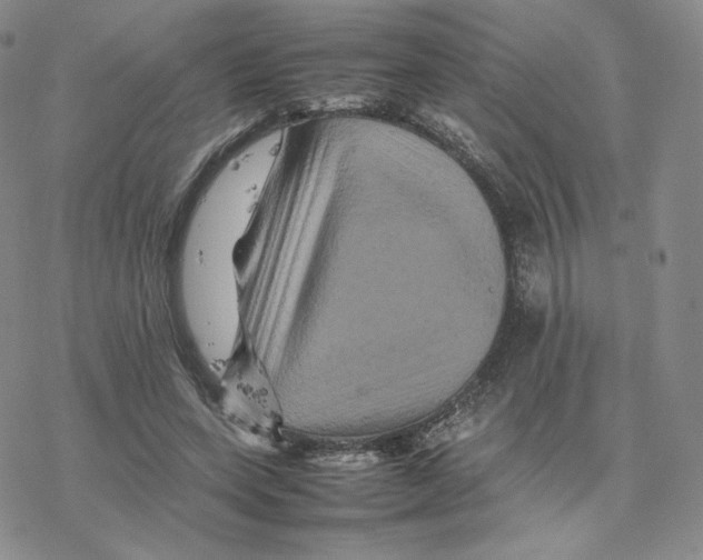 X0000077290543200611171630