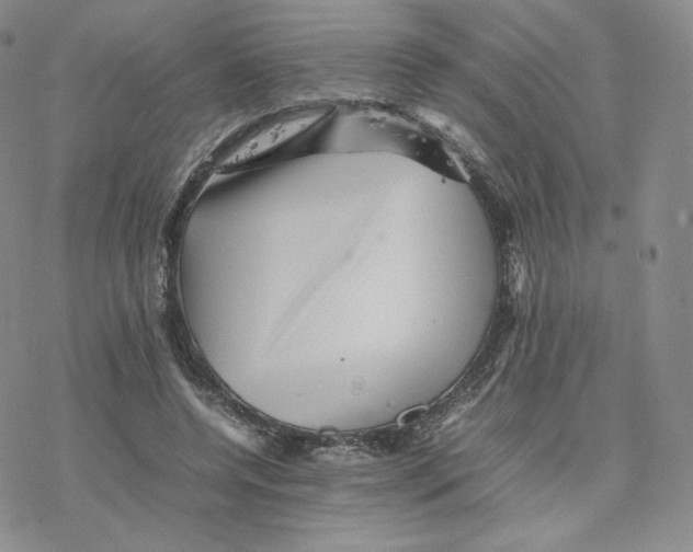 X0000077290544200611171630