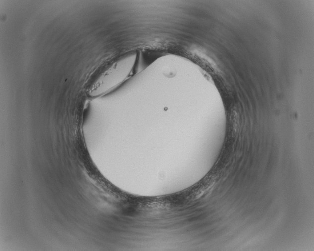 X0000077290546200611171630