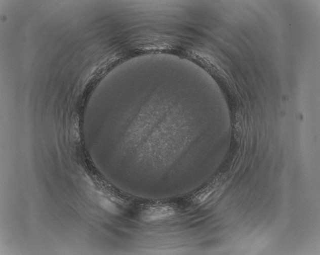 X0000077290547200611171630