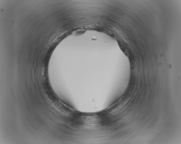 X0000077290548200611171630